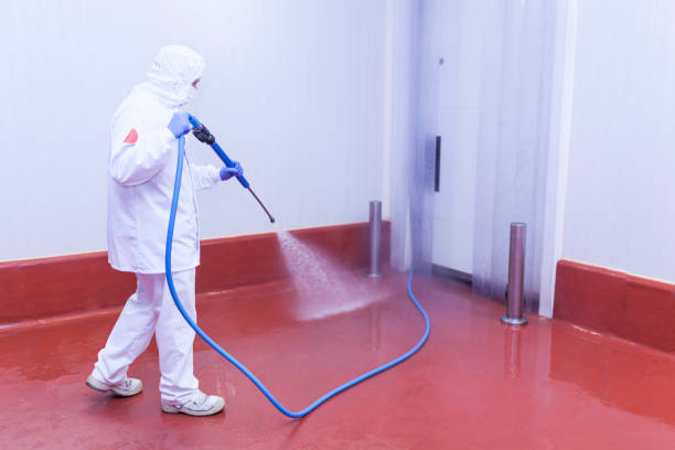Best Pre-Holiday Cleaning  in Gresham, OR