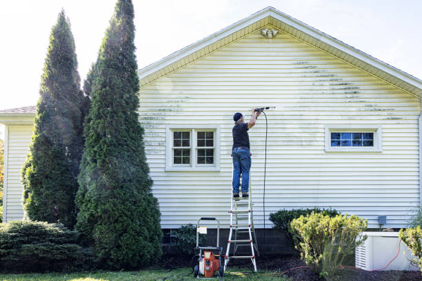 Best Patio and Deck Pressure Washing  in Gresham, OR